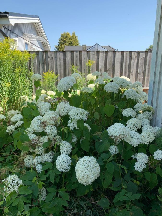 Private House Parking Garden Sea Nature Malmo Exterior photo